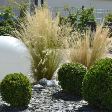 jardin contemporain topiaire buis sphère lumineuse éclairage jardin ardoise graminées Actisud Paysage paysagiste Dijon